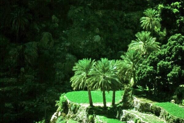 Oman’s Heritage & Nature Escape