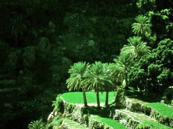 Oman’s Heritage & Nature Escape