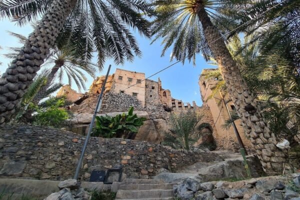 Oman & The Treasures of Dhofar