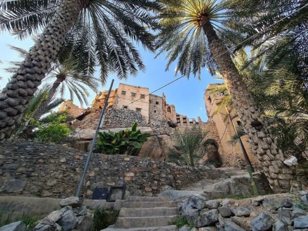 Oman & The Treasures of Dhofar